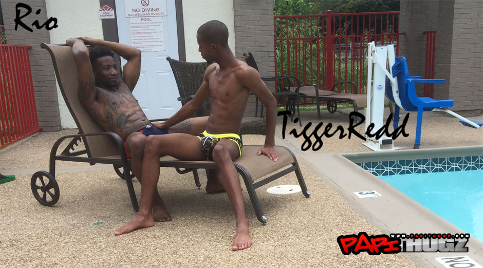 Rio & Tigger Redd