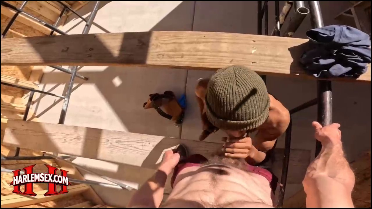 HarlemSex – Sun Suck
